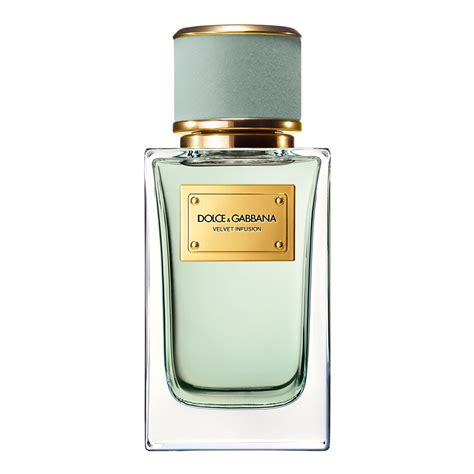 velvet brume dolce gabbana
